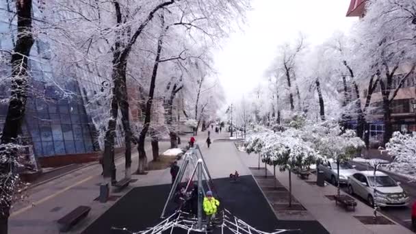 Drzewa pokryte śniegiem, środowisko miejskie. — Wideo stockowe