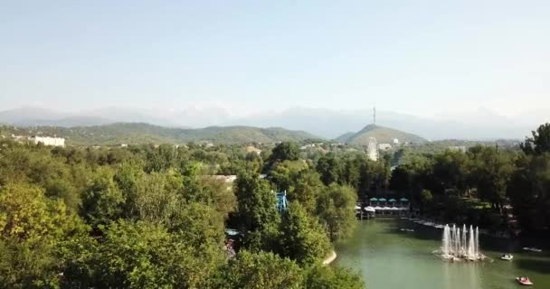 Lago entre as árvores verdes do Parque. — Vídeo de Stock