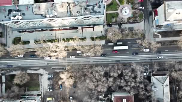 Rue spéciale pour marcher. Plein de gens. — Video