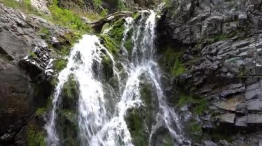 Şelaleden kayalara, kütüklere sıçramış..