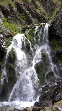 Şelaleden kayalara, kütüklere sıçramış..