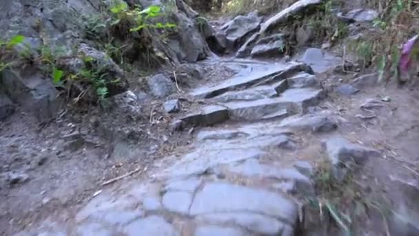 Sendero de montaña en el bosque, escalada sobre rocas — Vídeos de Stock