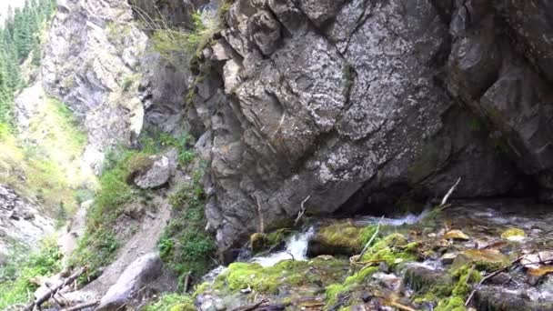 Schizzi dalla cascata su rocce, tronchi. — Video Stock