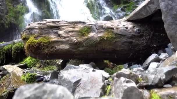 Schizzi dalla cascata su rocce, tronchi. — Video Stock