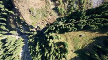 Ormanlı kayalık bir vadide bir dağ şelalesi.