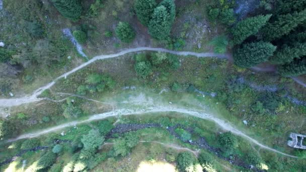 Sentier de montagne dans la gorge à travers la forêt. — Video