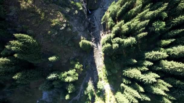 森林覆盖的岩石峡谷中的山下瀑布 — 图库视频影像