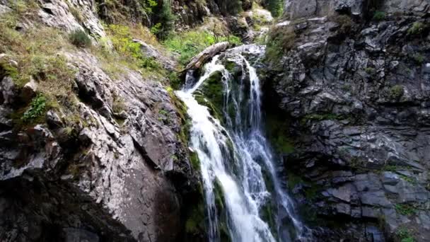 Horský vodopád ve skalnaté rokli. — Stock video