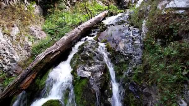 Une cascade de montagne dans une gorge rocheuse. — Video