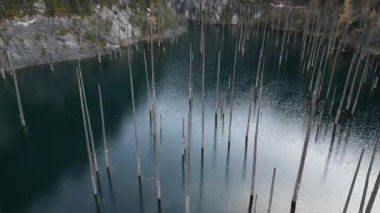 Hava görüntüsü, sualtı ağaçlarıyla sakin bir göl yakalar, etraftaki manzarayı yansıtan durgun suları gösterir, kamera daha sakin bir çevreyi daha rahat görebilmek için düzgün bir şekilde hareket eder.