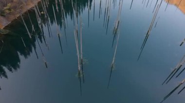 Havadan bakıldığında, sulara yansıyan sualtı ağaçlarıyla sakin bir göl görüntülenir, dingin çevreyi ve doğal güzelliği gözler önüne serilir, kamera manzarayı daha net bir şekilde gözler önüne serer.