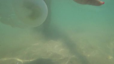 Oyuncu kadın, turkuaz sığ sularda yarı saydam denizanalarını nazikçe itiyor yaz tatilinde deniz yaban hayatıyla sakin bir su altı etkileşimi yaratıyor.