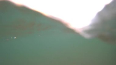 Güneş ışığı sualtı dünyasını aydınlatır, büyüleyici ışık desenleri yaratır, nefes kesen bir günbatımı ise yumuşak okyanus dalgalarının üzerindeki canlı renklerle gökyüzünü boyar.