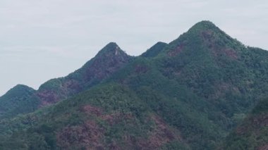 Yeşil orman örtüsü yuvarlanan tepeleri örtüyor, yeşil katmanları ortaya çıkarıyor ve havadan bakıldığında el değmemiş vahşi doğayı vurguluyor.