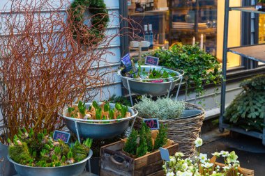 Çiçekler mağazanın önünde sergileniyor, Hollendergaten Caddesi, Bergen, Norveç.