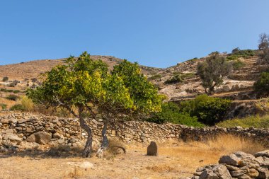 Skarkos Arkeolojik Alanı - Ios Adası, Kiklad, Yunanistan 'a Bronz Çağı' nın başlarında yerleşim yeri. Ege 'deki ve özellikle Kiklades' teki en önemli tarih öncesi bölgelerden biridir..