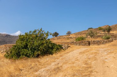Skarkos Arkeolojik Alanı - Ios Adası, Kiklad, Yunanistan 'a Bronz Çağı' nın başlarında yerleşim yeri. Ege 'deki ve özellikle Kiklades' teki en önemli tarih öncesi bölgelerden biridir..