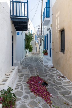 Parikia, Paros Adası, Yunanistan - 26 Eylül 2020: Eski şehrin dar sokakları. Geleneksel, geniş mimari ve beyaz eklemli taş bir yol..