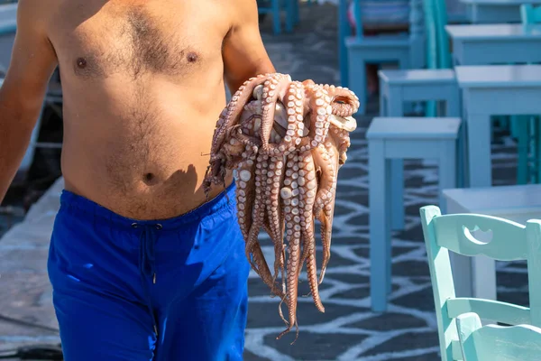 A man carrying a freshly caught octopus . Naoussa, small fishing village, Paros Island, Greece.