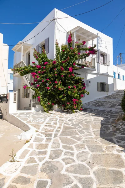 Naoussa Paros Island Greece Вересня 2020 Вид Вузьку Вулицю Рибальського — стокове фото