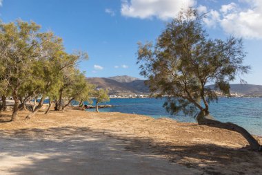 Paros adasının Rocky Sahili. Arka planda beyaz, geleneksel bir bina. Yunanistan.