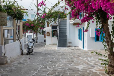 Antiparos Adası, Yunanistan - 28 Eylül 2020: Antiparos kentinin merkezinde geleneksel Yunan beyaz mimarisi. Pembe Bugenwilla çatıda..