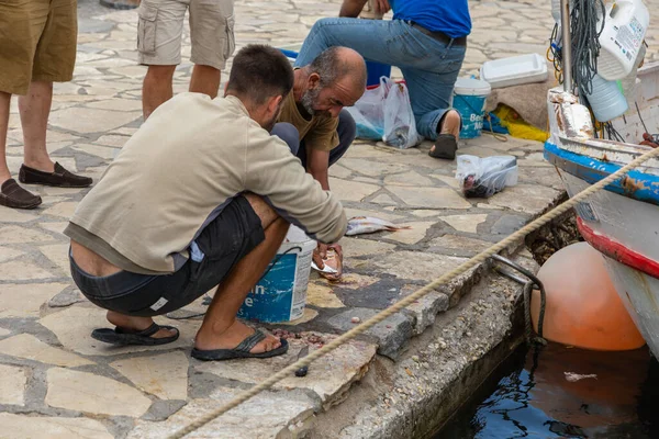 ギリシャのアンティパロス島 2020年9月28日 漁港で獲れたばかりの魚を噛む漁師 — ストック写真