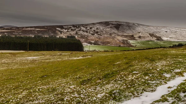 Vista Das Colinas Cobertas Neve Angus Paisagem Rural Aberdeenshire Escócia — Fotografia de Stock