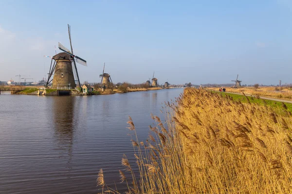 Kinderijk Netherlands March 2016 View Famous Windmills Lek Canal Small — 图库照片