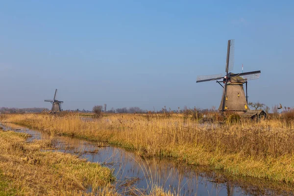 Kinderijk Netherlands March 2016 View Famous Windmills Lek Canal Small — 图库照片