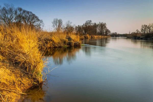 Primavera Río Warta Parque Del Paisaje Warta Naturaleza 2000 Gran — Foto de Stock