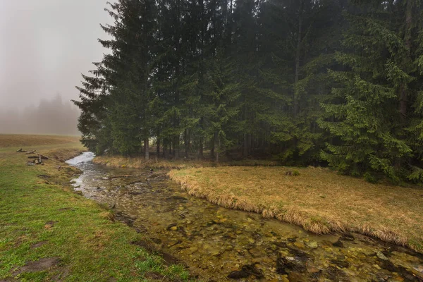 Widok Dolinę Chocholowską Tatrach Koło Zakopanego Mglisty Wiosenny Dzień — Zdjęcie stockowe