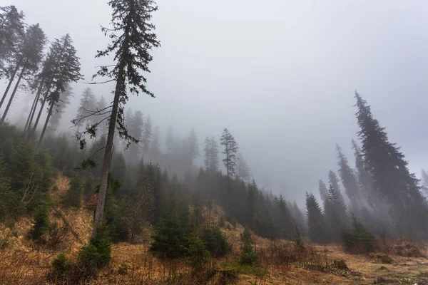 Widok Dolinę Chochoowską Tatrach Koło Zakopanego Mglisty Wiosenny Dzień — Zdjęcie stockowe