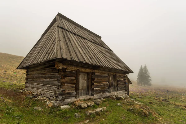 多雾的春天 乔乔夫斯卡山谷 一个有牧人小屋和棚屋的空地 波兰Tatra Mountains — 图库照片
