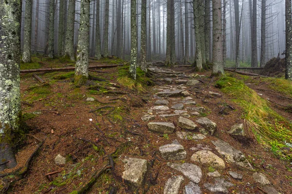 Widok Dolinę Białek Tatrach Koło Zakopanego Mglisty Wiosenny Dzień — Zdjęcie stockowe