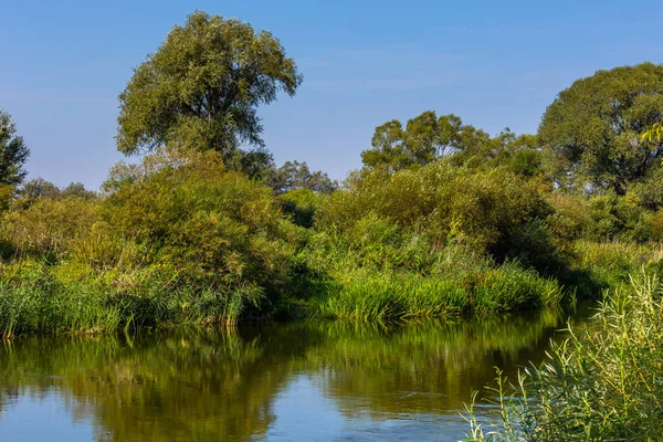 Día Verano Sobre Río Warta Warta Landscape Park Polonia — Foto de Stock