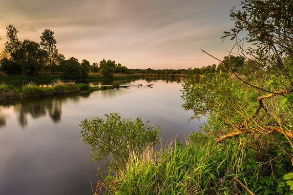 Sunset over Warta river in Warta Landscape Park, Lad, Poland.