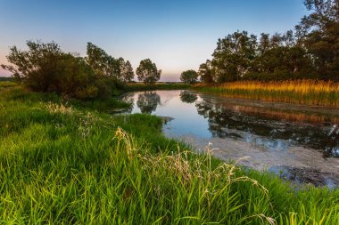 Warta nehri üzerinde gün batımı. Warta Peyzaj Parkı, Ladek, Polonya.