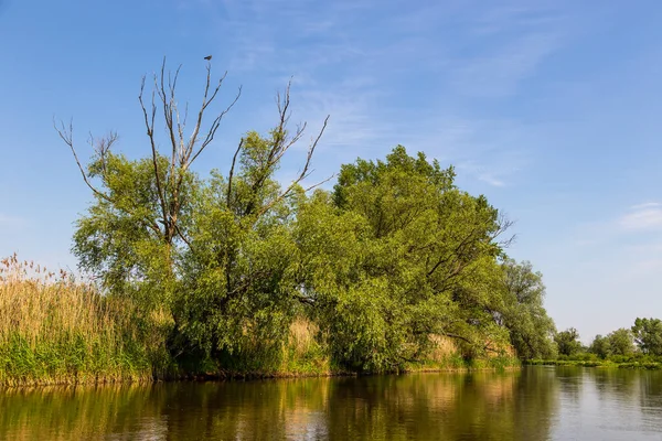 夏の日は ポーランドのワルタ ランドスケープ パークのワルタ川を越えて — ストック写真