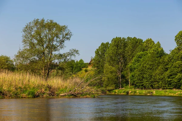 Giornata Estiva Sul Fiume Warta Nel Warta Landscape Park Polonia — Foto Stock