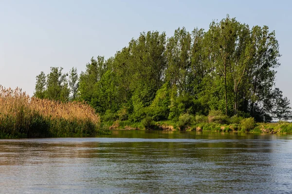 夏の日は ポーランドのワルタ ランドスケープ パークのワルタ川を越えて — ストック写真