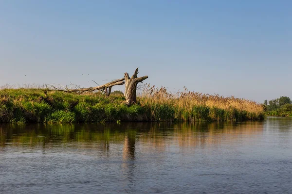 Día Verano Sobre Río Warta Warta Landscape Park Polonia — Foto de Stock