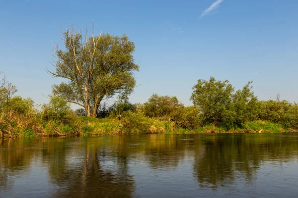 Giornata Estiva Sul Fiume Warta Nel Warta Landscape Park Polonia — Foto Stock