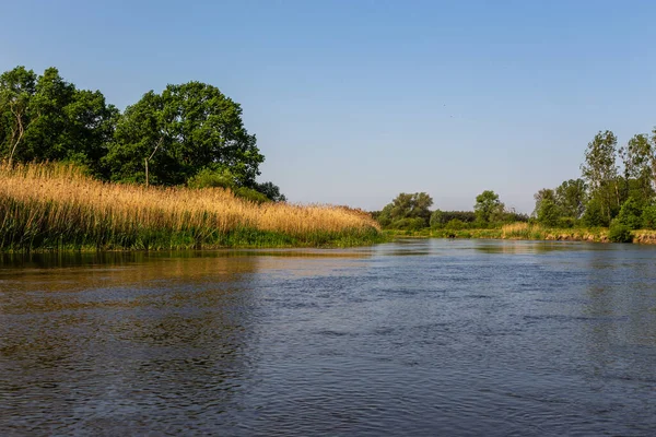 Giornata Estiva Sul Fiume Warta Nel Warta Landscape Park Lad — Foto Stock