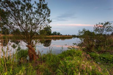 Warta Peyzaj Parkı, Lad, Polonya 'da Warta Nehri üzerinde gün batımı.