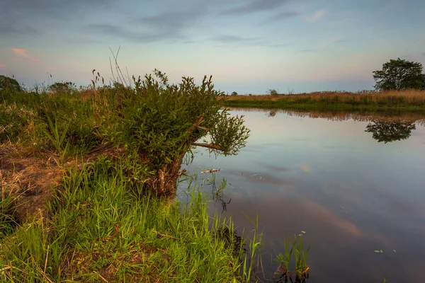 Sunset Warta River Warta Landscape Park Lad Poland — Stock Photo, Image