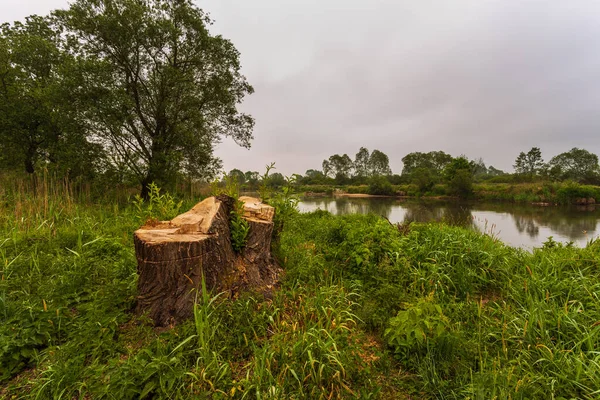 Puesta Sol Sobre Río Warta Warta Landscape Park Lad Polonia — Foto de Stock