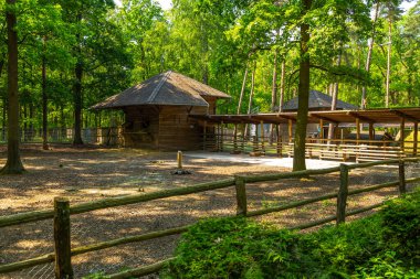 Goluchow 'daki sarayın yanındaki parkta hayvanlar için otlağı olan bir çiftlik..