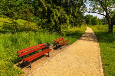 Goluchow, Büyük Polonya 'daki şatonun etrafındaki parkta patikalar..