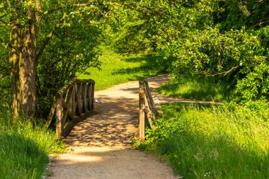 Goluchow, Büyük Polonya 'daki şatonun etrafındaki parkta patikalar..